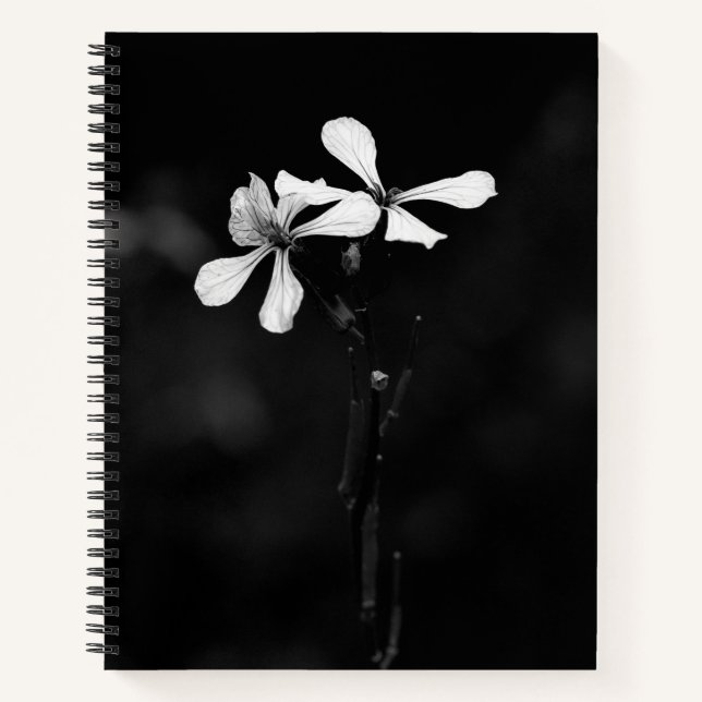 SpiralNotebook Notizbuch (Vorderseite)