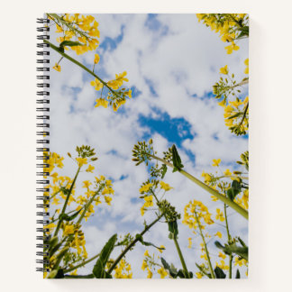 SpiralNotebook Notizbuch