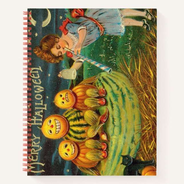 SpiralNotebook Notizbuch (Vorderseite)