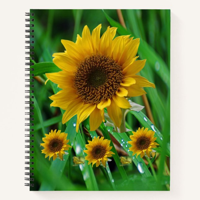 SpiralNotebook-Sonnenblume Notizbuch (Vorderseite)
