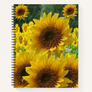 SpiralNotebook-Sonnenblume Notizbuch