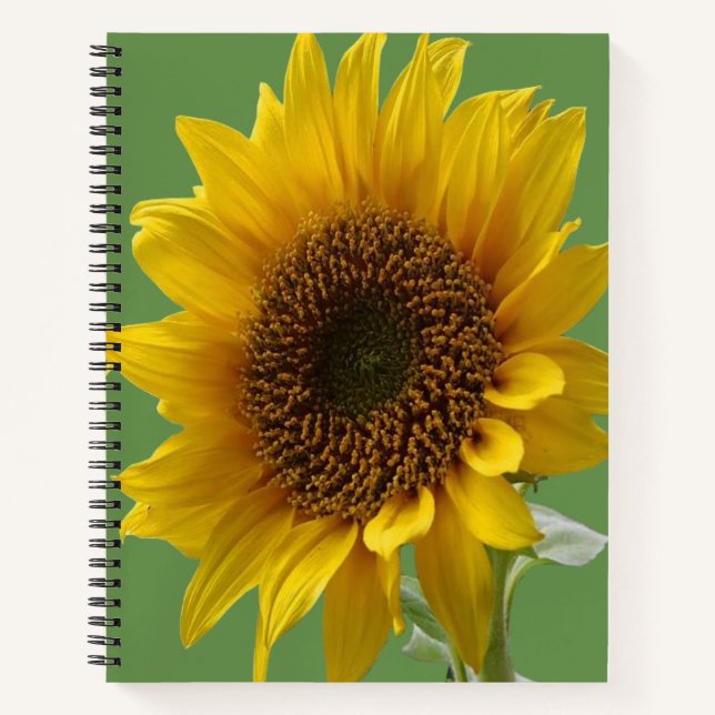 SpiralNotebook-Sonnenblume Notizbuch (Vorderseite)
