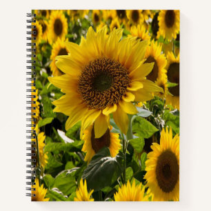 SpiralNotebook-Sonnenblume Notizbuch