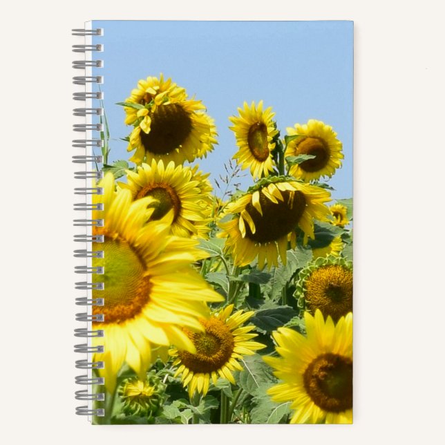 Spiralnotebook-Sonnenblumen Notizbuch (Vorderseite)