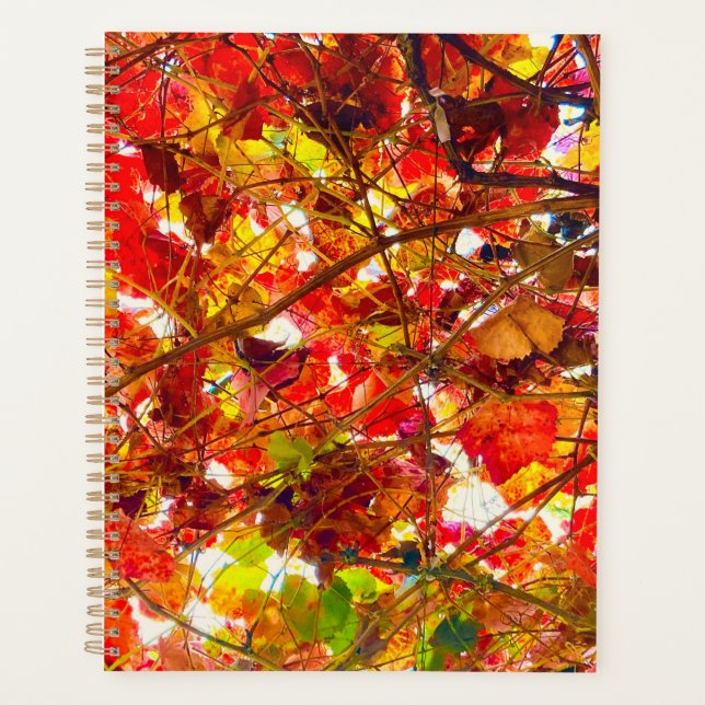Spiralplaner im Herbst Planer (Vorderseite)