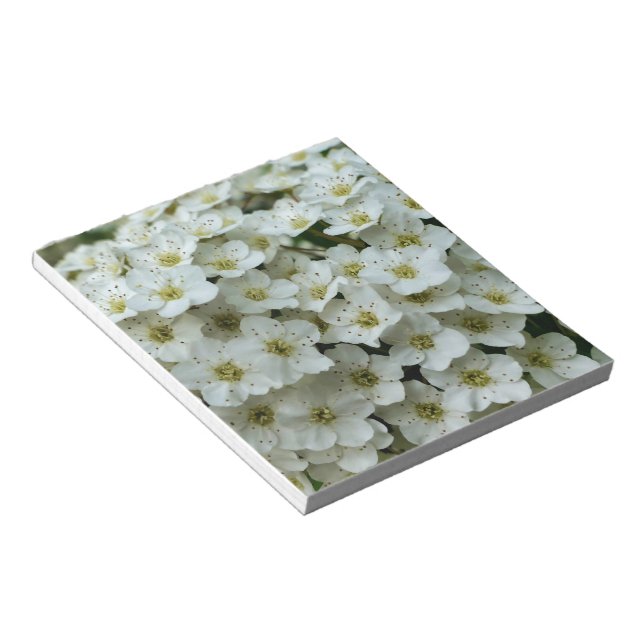 Spirea Arguta Notizblock (angewinkelt)