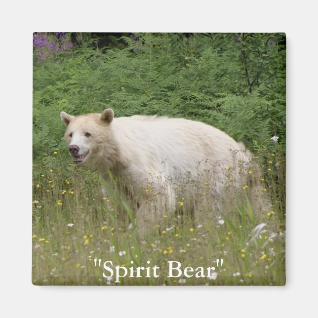 Spirit Bear Geschenke Magnet (Vorne)