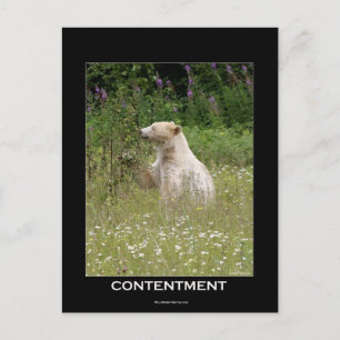 Spirit Bear Geschenke Postkarte