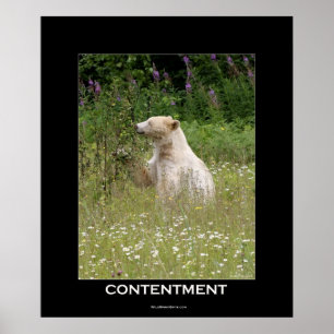 Spirit Bear Motivierend Poster
