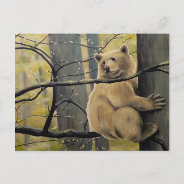 Spirit Bear Postcard Kermode Bären Art Postkarten (Vorderseite)