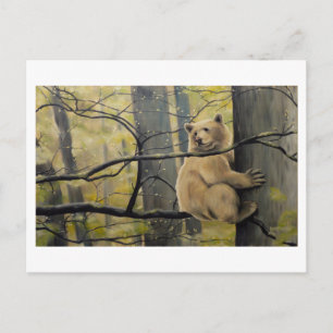 Spirit Bear Postcard Kermode Bären Art Postkarten