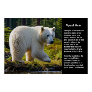 Spirit Bear Poster