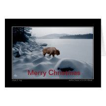 Spirit Buffalo Vor dem See - Weihnachtskarte
