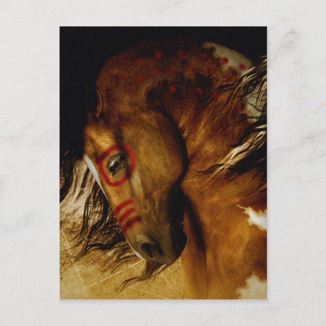 Spirit Horse Postkarte (Vorderseite)