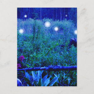 Spirit Lights Blue Night Marshy Meadow Orbs Postkarte