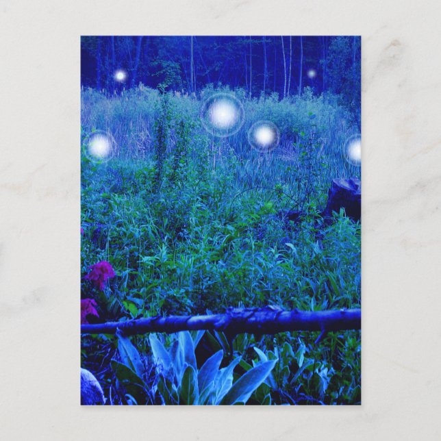 Spirit Lights Blue Night Marshy Meadow Orbs Postkarte (Vorderseite)