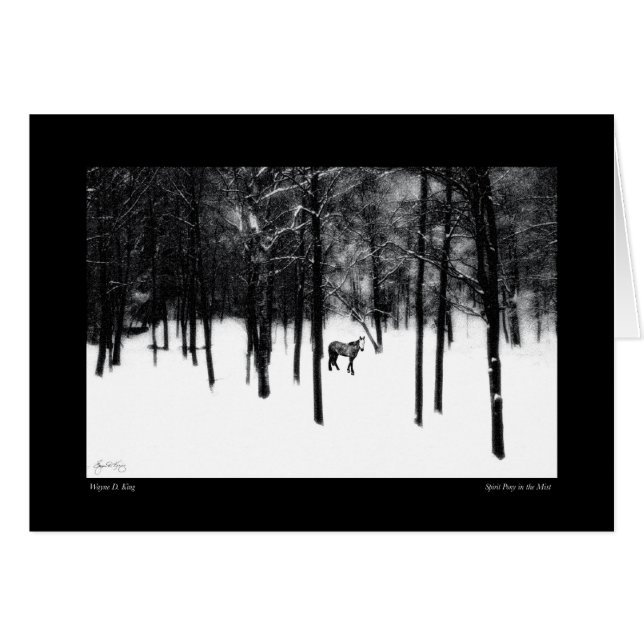 Spirit Pony in der Nebelkarte (Vorderseite (Horizontal))