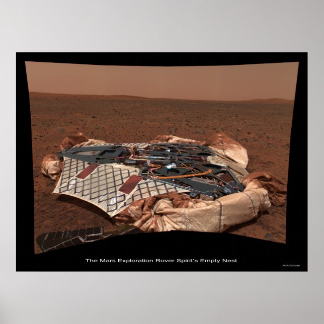 Spiritâ€™s Leere Nest Poster (Vorne)