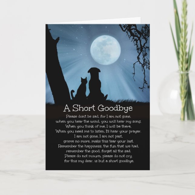 Spiritueller Verlust des Hundes, Katzensympathie-K Karte (Vorderseite)