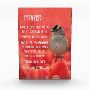 Spirituelles Reisetagebuch: Römer 12:2 Gebet Fotoblock