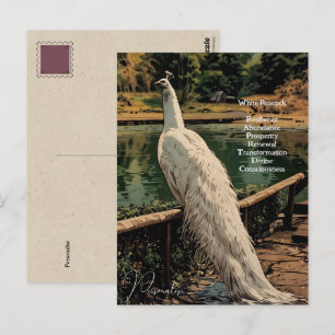 Spirituelles White Peacock Bird inspirierendes Zit Postkarte