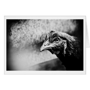 Spirituosen und Hühner