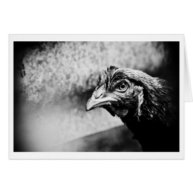 Spirituosen und Hühner (Vorderseite (Horizontal))