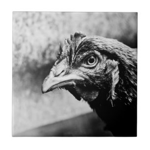 Spirituosen und Hühner Fliese