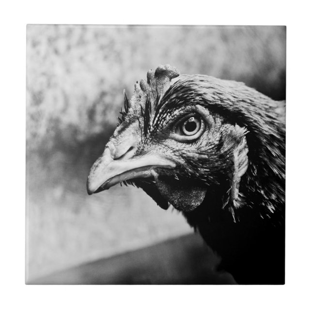 Spirituosen und Hühner Fliese (Vorderseite)