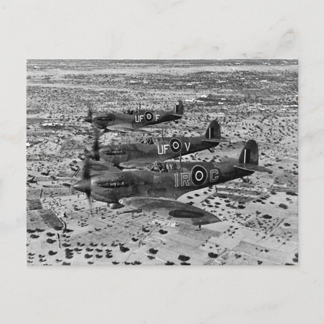 Spitfire-Jäger über Afrika, 1943 Postkarte (Vorderseite)