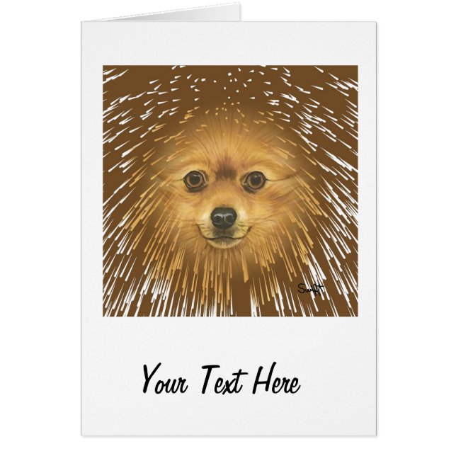 Spitz (Vorne)