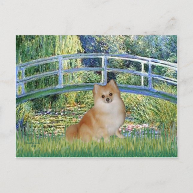 Spitz 3 - Brücke Postkarte (Vorderseite)