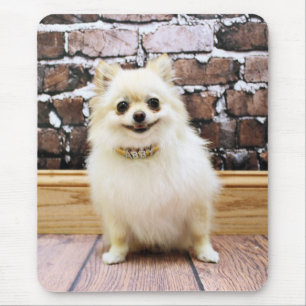 Spitz - Abby Eitelkeits-Kragen Mousepad
