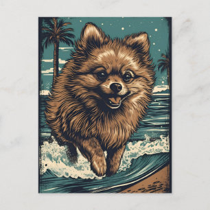 Spitz am Strand Postkarte