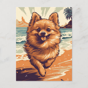 Spitz am Strand Postkarte