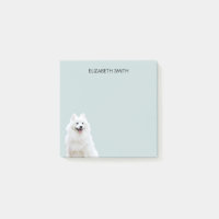 Spitz American Eskimo Dog