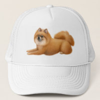 Spitz-Baseball-Hut