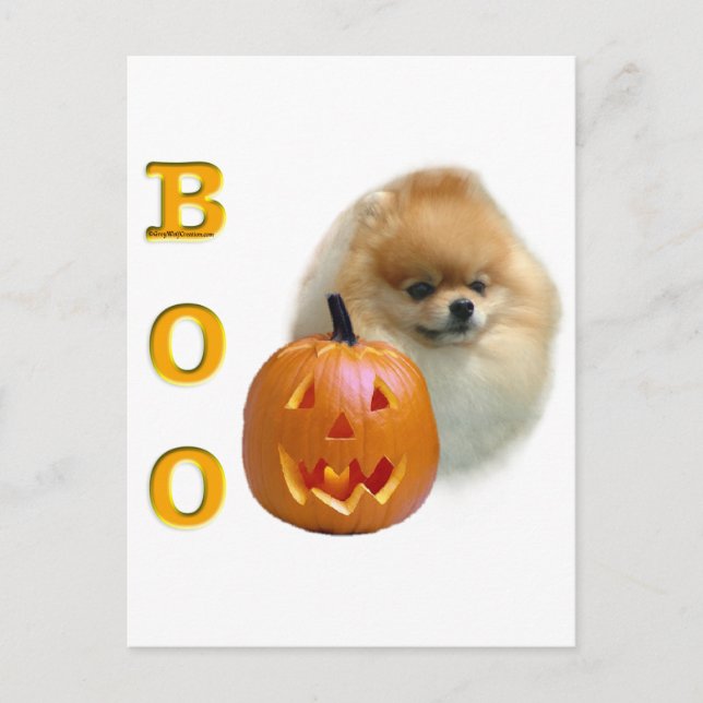 Spitz Boo Postkarte (Vorderseite)