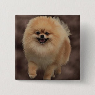 Spitz Button