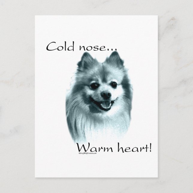 Spitz Cold Nose Warmes Herz Postkarte (Vorderseite)