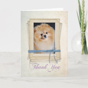 Spitz Dankeschön Karte