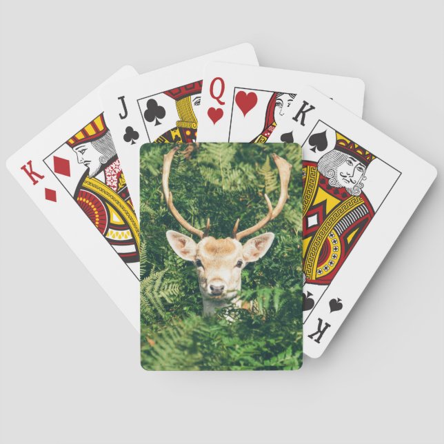 Spitz das Reh an  Spielkarten (Rückseite)