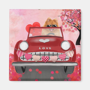Spitz Dog Car mit Herzvalentiner Magnet