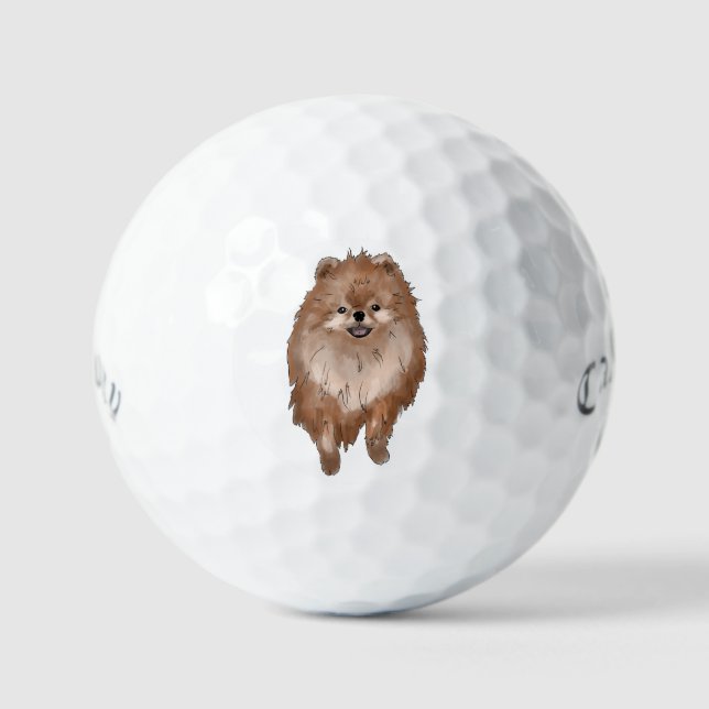 Spitz Dog Golfball (Vorderseite)
