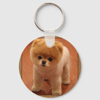 Spitz Dog Haustier Welpe Kleines Adortable Baby Schlüsselanhänger