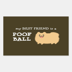 Spitz Dog Mein bester Freund ist ein Poof Ball Rechteckiger Aufkleber
