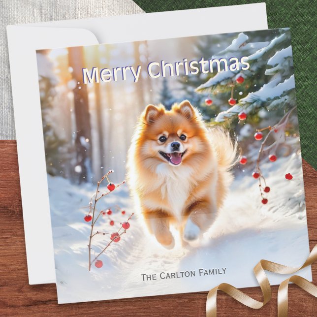 Spitz Dog Snow Picture Frohe Weihnachten (A pretty, personalized Christmas card, with a picture of a cute Pomeranian dog in snow)
