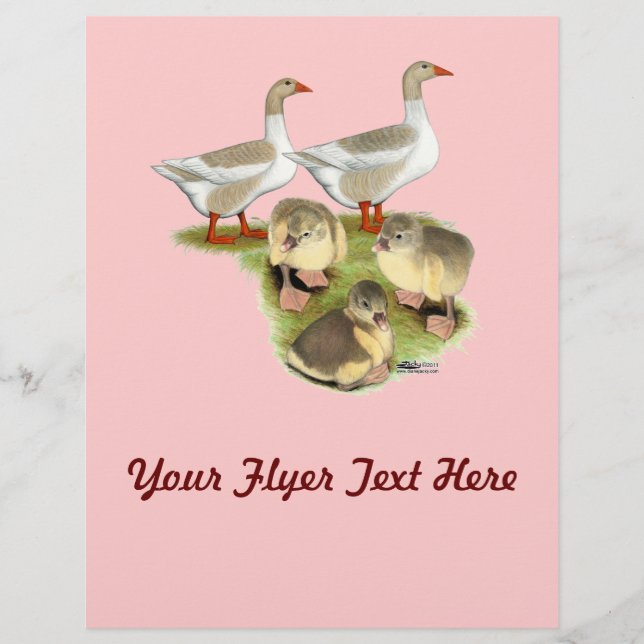 Spitz Gänse Flyer (Vorne)