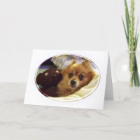 Spitz Happy Birthday Card