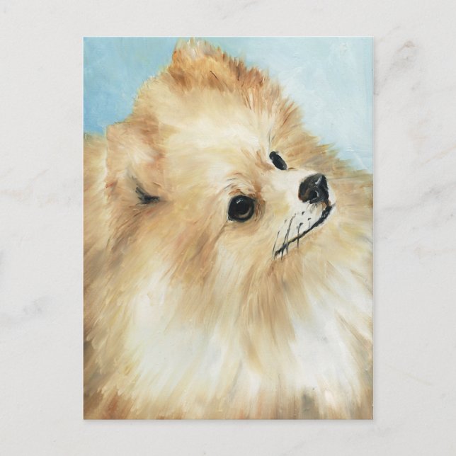 "Spitz Head Study Dog Art Postcard Postkarte (Vorderseite)